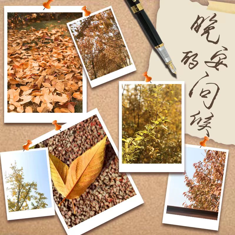片头/片尾曲 | 现代短剧配乐推荐