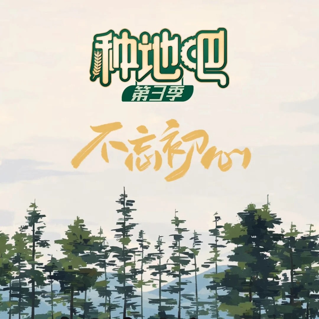 播放